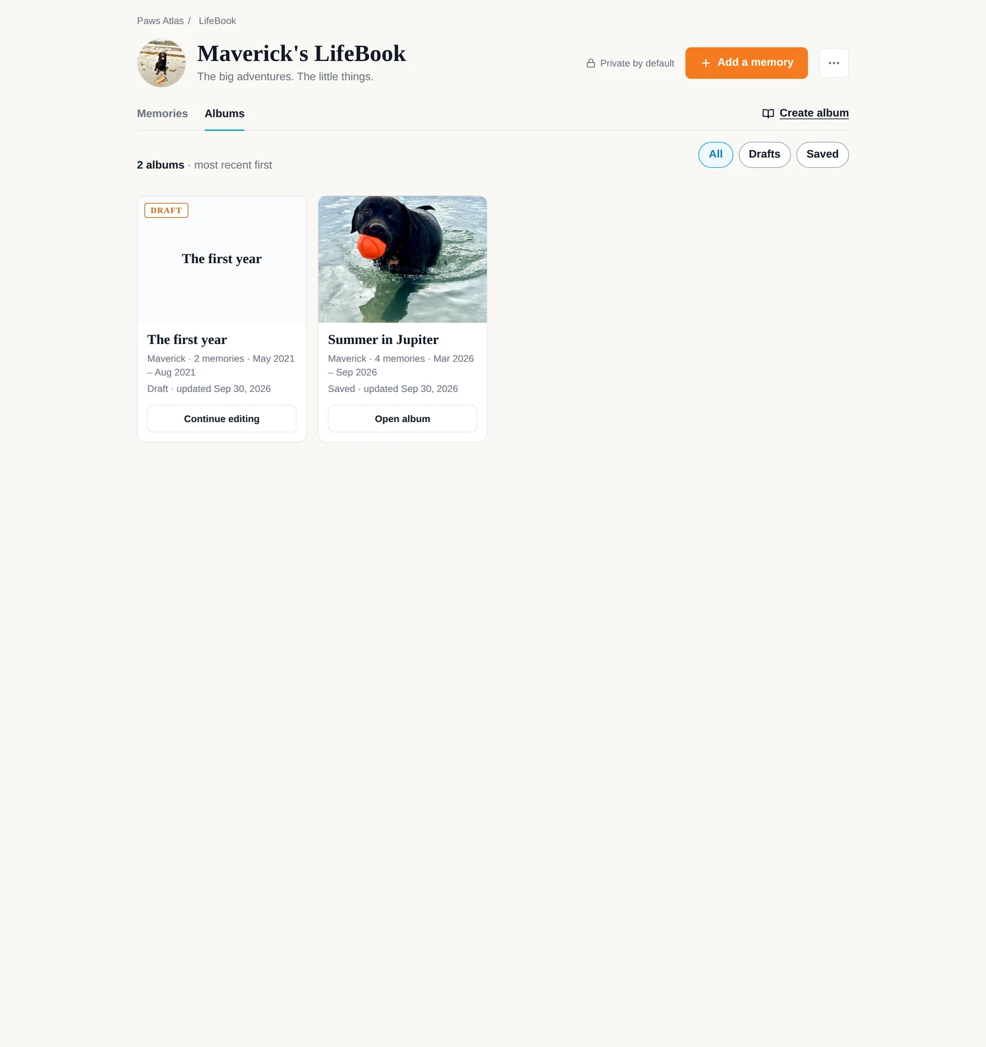 The Albums tab: your library