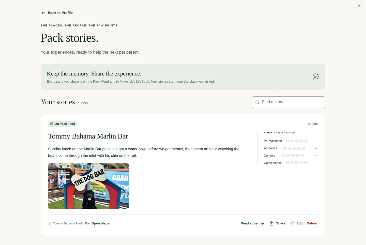 Pack stories on your profile